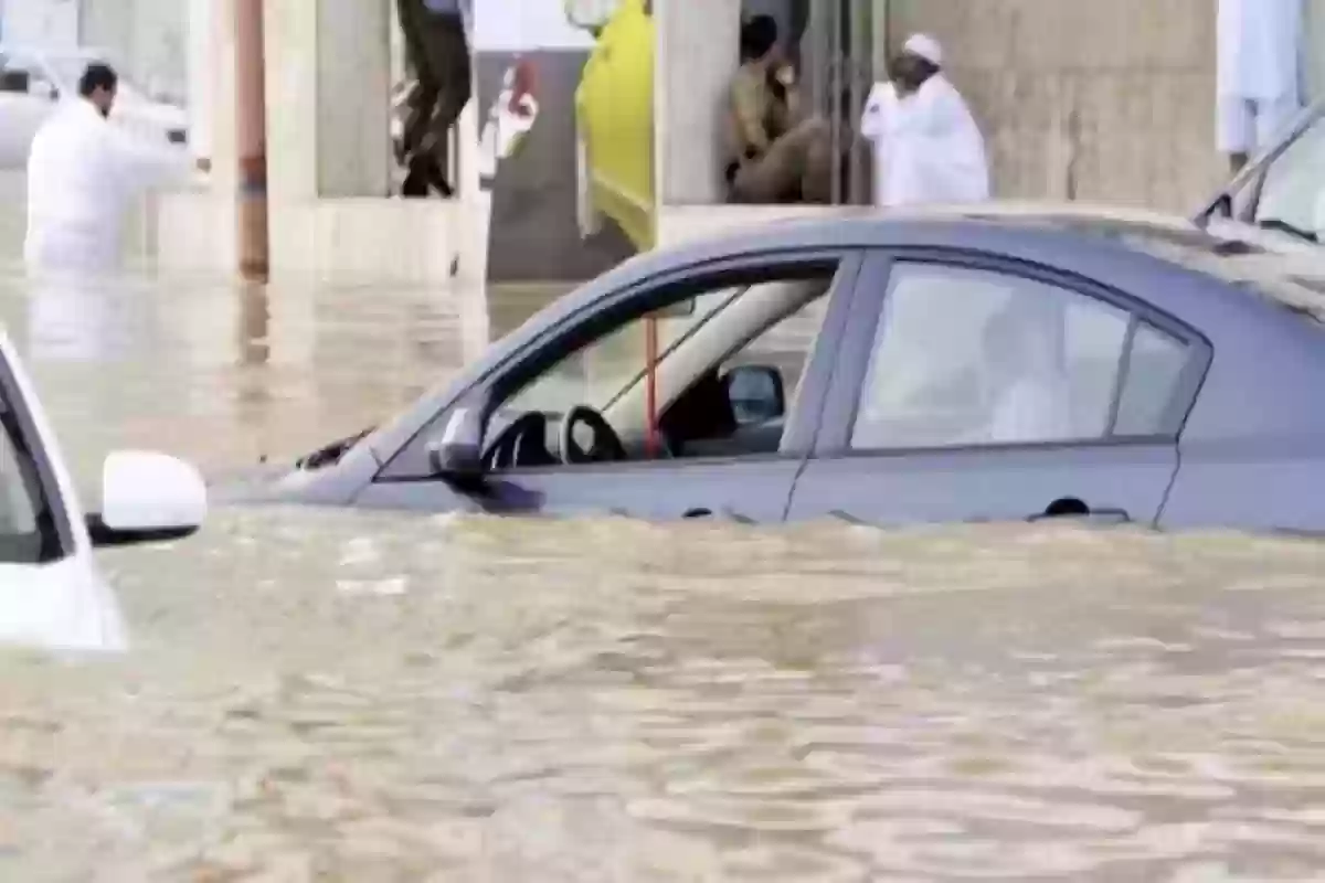 أستاذ الطقس والمناخ السعودي يكشف... التواريخ الهامة في السعودية في العام القادم