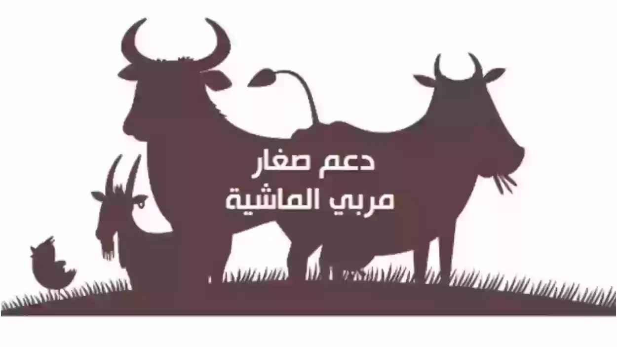 هل دعم المواشي يؤثر على حساب المواطن 1445 وهل يعتبر دعم المواشي دخل؟