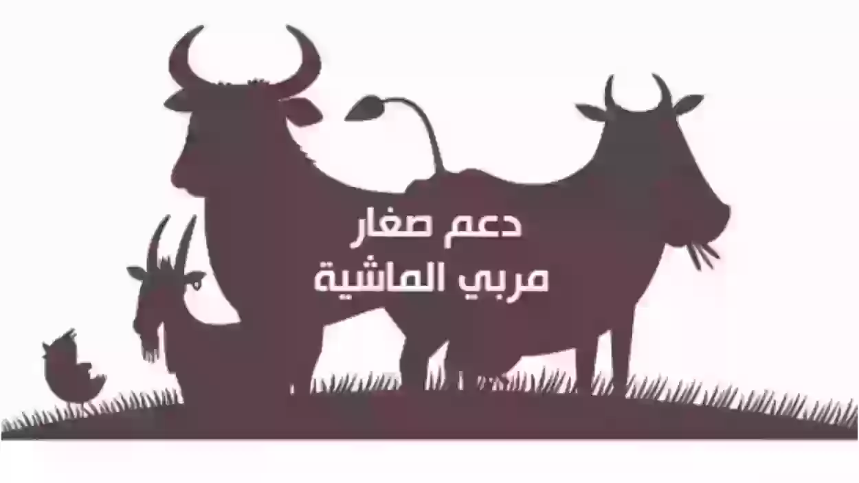 الى مستفيدي دعم مربي الماشية