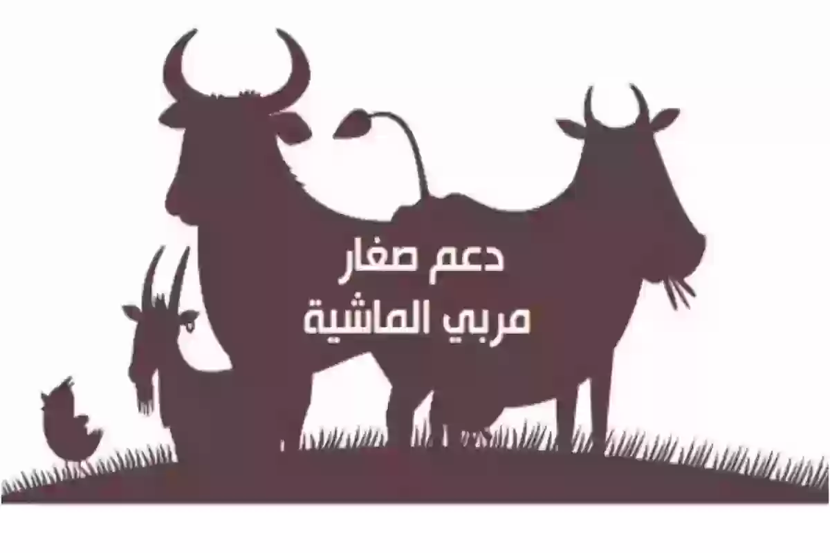 رابط دعم المواشي للاستعلام عن الأهلية والاستحقاق وموعد نزول الراتب