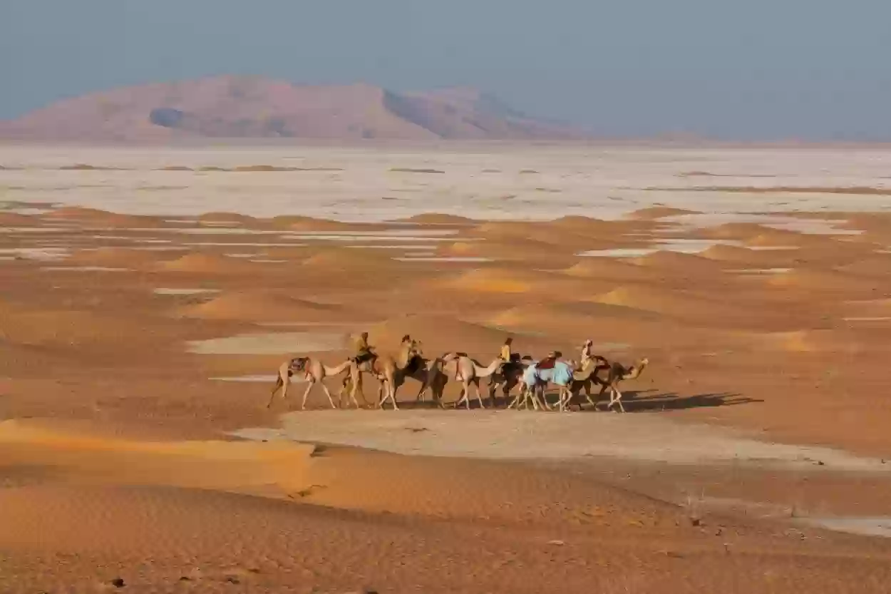 الزعبي وش يرجع؟ أصل وديرة الزعبي