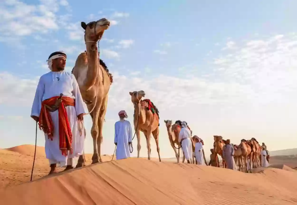 الزايدي وش يرجع أصل الزايدي من أي قبيلة