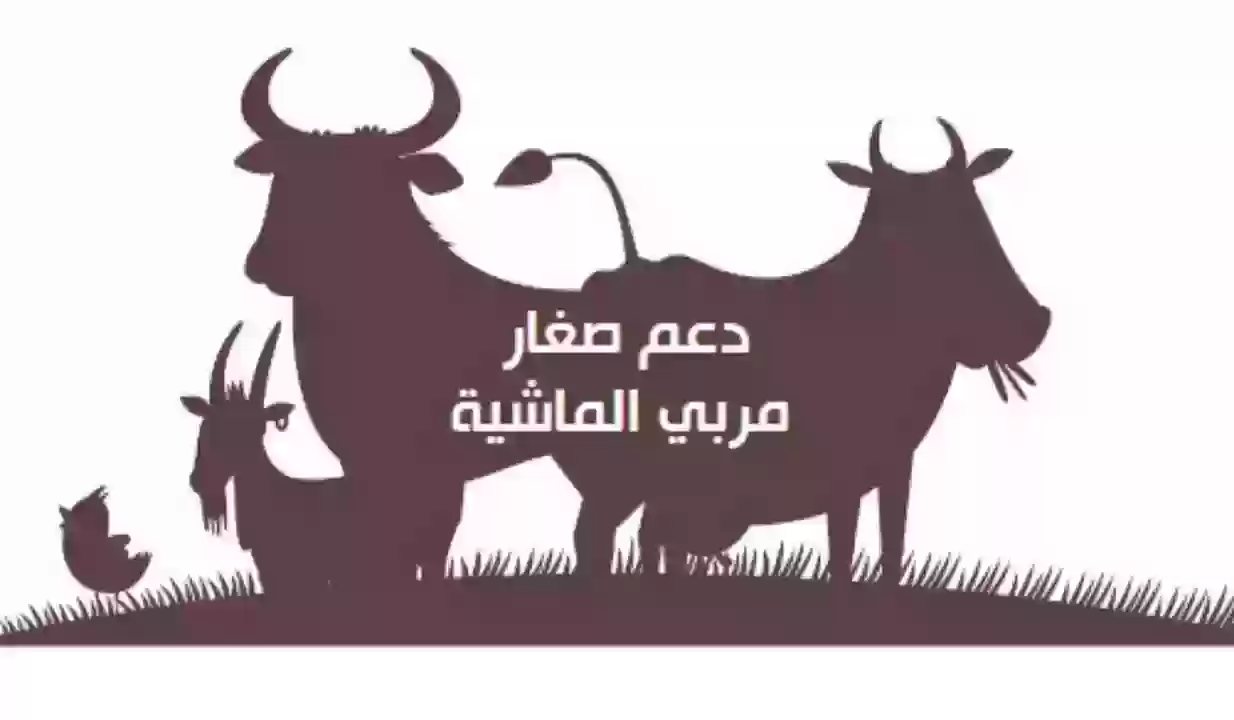 ما هي طريقة تحديث دعم صغار مربي الماشية .. بالخطوات 2023